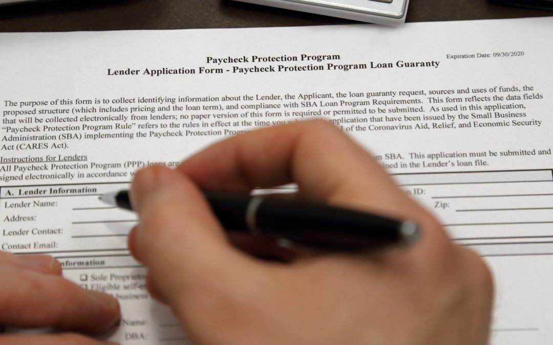 Paycheck Protection Program Lender Application Form